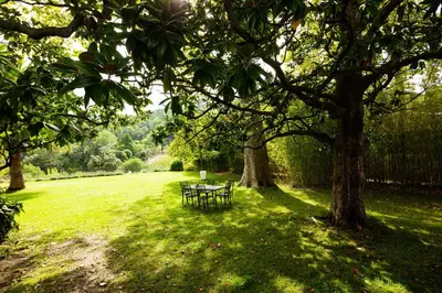 a park bench sitting under two trees in a field at Château Haut Gléon in Villesèque-des-Corbières