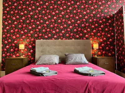a bedroom with a pink bed with a red wall at Les Chambres des Barques in Narbonne