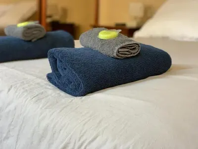 two towels sitting on top of a bed at Les Chambres des Barques in Narbonne