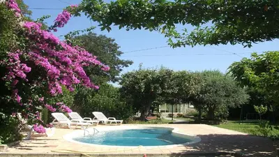 a swimming pool in a yard with pink flowers at Villa La Milouyette in Peyriac-Minervois