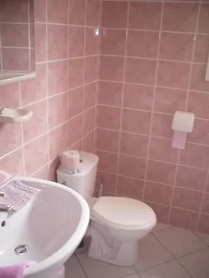 a bathroom with a white toilet and a sink at Domaine de la Pendule in Issel