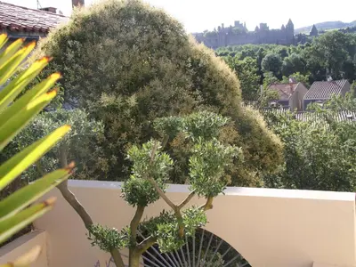 a tree on top of a wall with bushes at Appartement Le Saint Nazaire - Les Balcons de la Cité in Carcassonne