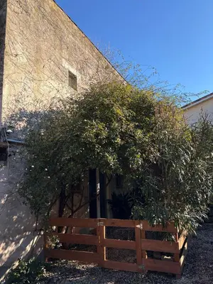 a wooden fence in front of a building at L'Ecurie en ville in Limoux