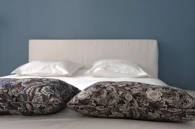 two pillows sitting on top of a bed at Appartement d'Hôtes Temps de Pause in Lautrec