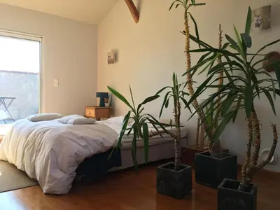 a bedroom with two potted plants and a bed at Appartement d'Hôtes Temps de Pause in Lautrec