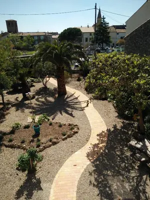 a walkway with a palm tree in a garden at La Maison des Palmiers in Homps
