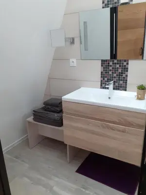 a bathroom with a sink and a mirror at 