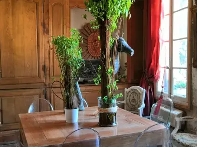 a wooden table with two potted plants on it at Chambre d'Hôtes au Domaine du Soleil Couchant in Saint-André-de-Roquelongue