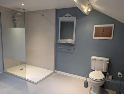 a bathroom with a shower and a toilet at Chateau de Thuries in Revel