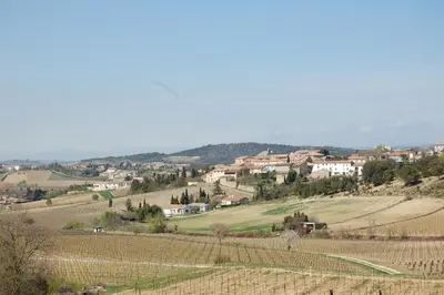 a village on a hill with a bunch of vineyards at LES BRUYERES chambre d'hôte de charme Calme assuré in Loupia