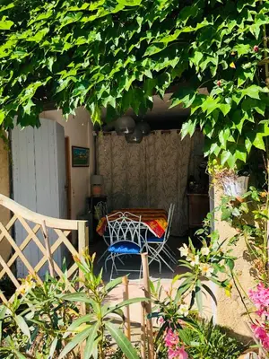 a chair sitting on a porch under a tree at La maison Vigne Vierge in Lagrasse