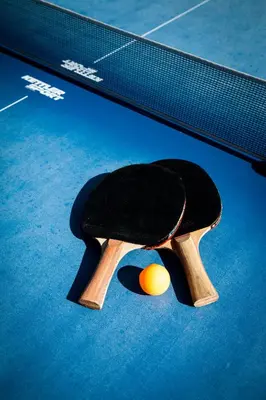 a ping pong racket and a tennis ball on a court at Domaine de Cazaban in Villegailhenc