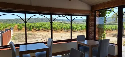 a room with a table and chairs and a view of a vineyard at Château La Sabine in Saint-Laurent-de-la-Cabrerisse