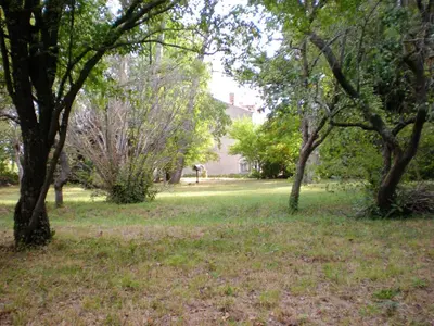 a yard with trees and a giraffe in the distance at Manoir enchanteur à Cailhau avec piscine privée sécurisée in Cailhau