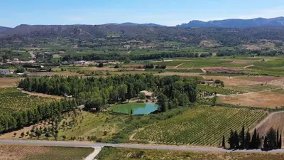 an aerial view of a vineyard and a lake at Camping la Peiriere - Chalet & Mobile-home in Tuchan