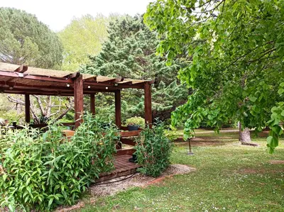 a wooden gazebo in the middle of a garden at Les Eaux Tranquilles in Belvianes-et-Cavirac