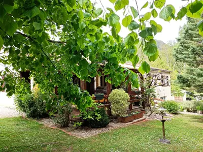 a garden with a house with a tree at Les Eaux Tranquilles in Belvianes-et-Cavirac