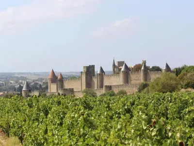 an old castle in the middle of a vineyard at Wine Country Family Villa in Félines-Minervois