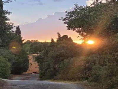 a dirt road with the sun shining through the trees at Wine Country Family Villa in Félines-Minervois