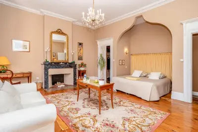 a living room with a bed and a fireplace at Château du Pegulier in Montaut-Ariège