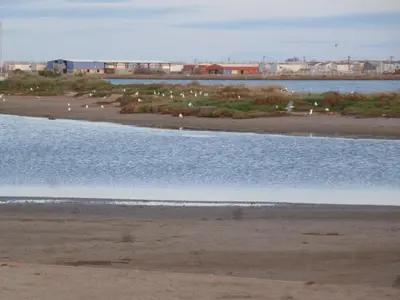 a beach with a body of water with buildings in the background at La Pergola de la Plage in Gruissan