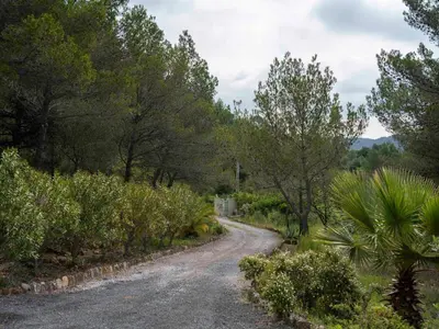 a dirt road with trees on either side at Charming French Villa with Pool in Cébazan