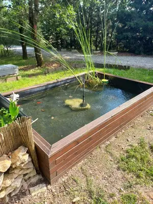 a pond with a plant in it in a garden at gite tout confort in Montolieu