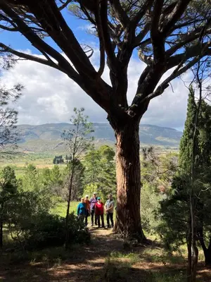 a group of people standing under a tree at L'Ecurie in Paziols
