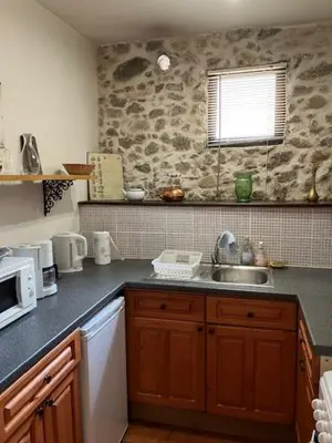 a kitchen with a sink and a microwave at L'Ecurie in Paziols