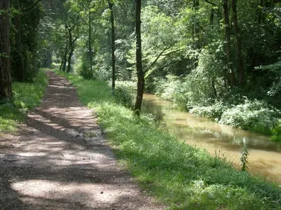 a dirt road next to a river with trees at La Ginelle - Appartement Guy in Airoux