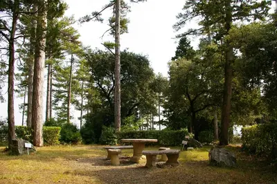 a picnic table and benches in a park with trees at La Ginelle - Appartement Bocage in Airoux