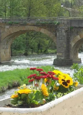 a bouquet of flowers in front of a river at LE CLOS DES COLVERTS in Campagne-sur-Aude