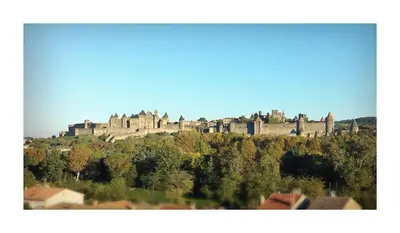 a large castle on top of a hill with trees at Les Suites du Saint Nazaire, vue panoramique sur la Cité Médiévale - Les Balcons de la Cité in Carcassonne