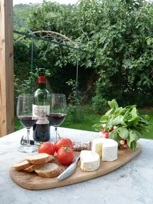 a wooden cutting board with cheese and bread and wine at Maison Pigeonnier in Alet-les-Bains