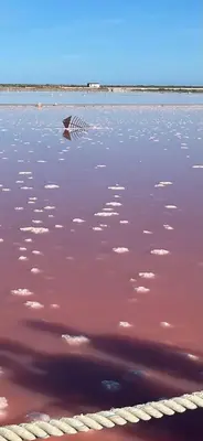 a kite in the middle of a body of water at Aux 4 FONTAINES in Narbonne