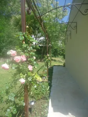 a garden with pink roses growing under a pergola at KiOui in Rennes-les-Bains