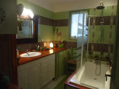 a bathroom with a sink and a shower and a tub at KiOui in Rennes-les-Bains
