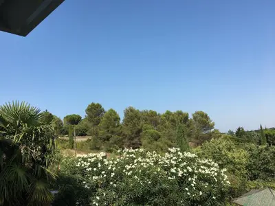 a view of a garden with white flowers and trees at Spacious Villa Retreat in Carcassonne in Carcassonne