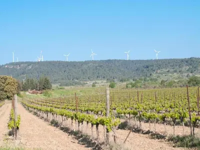 a field of vines with wind turbines in the background at Holiday Home Talairan with Pool and BBQ in Talairan