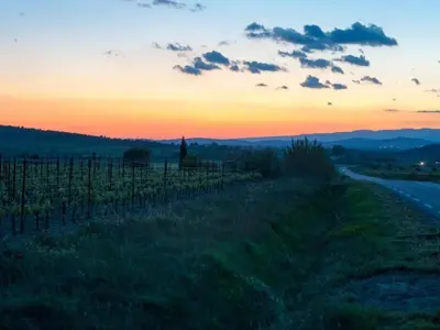 a sunset over a vineyard and a road at Holiday Home Talairan with Pool and BBQ in Talairan