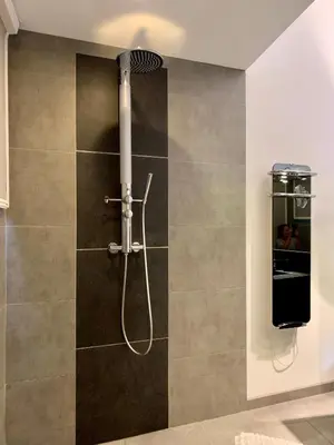 a shower with a shower head in a bathroom at 45BB Apartment in Carcassonne