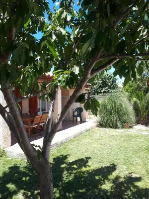 a tree with a bench in a yard at Méditerranée in Sigean