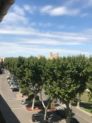 a row of trees in a parking lot at LE MONICA in Narbonne