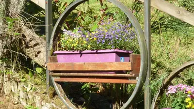 a flower pot sitting on top of a wooden bench at Gîte la Lanterne transition écologique avec borne de recharge 7kw Site sous vidéo protection in Nalzen