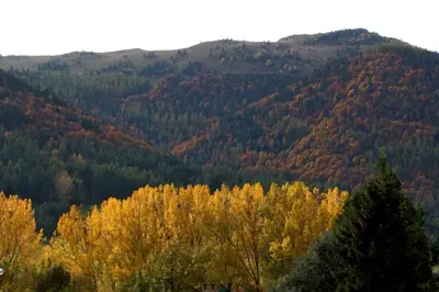 a screenshot of a phone with a chamonix aux fields at la Chaumine aux étoiles in Camurac