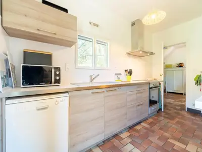 a large kitchen with wooden cabinets and a sink at Lovely country house with private pool in Vieussan