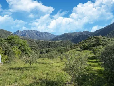 a field with trees and mountains in the background at Lovely country house with private pool in Vieussan