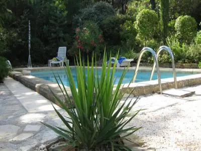 a swimming pool with a plant in front of it at Lovely country house with private pool in Vieussan