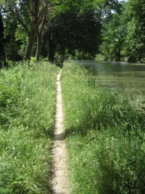 a dirt path in the grass next to a body of water at ETAPE DE ST COUAT in Saint-Couat-dʼAude