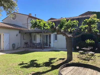 a tree in the yard of a house at Montbrun Vineyard Escape in Montbrun-des-Corbières